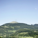 01092009tradbergff_11.jpg