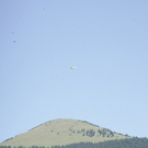 01092009tradbergff_13.jpg