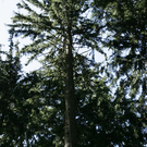 01092009tradbergff_24.jpg