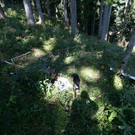 normal_01092009tradbergff_03.jpg
