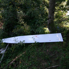 normal_01092009tradbergff_04.jpg