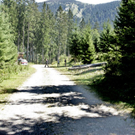 normal_01092009tradbergff_14.jpg