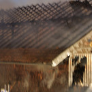 normal_01092009brandff_031.jpg