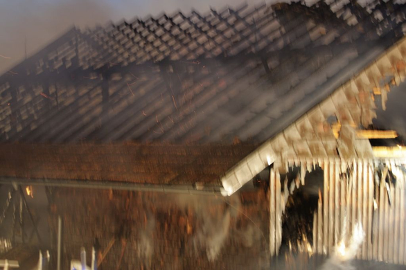 normal_01092009brandff_031.jpg