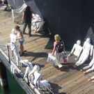IMG_0453.JPG