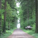 Den Löwenanteil des Schutzgebietes macht aber der Wald aus