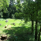 l_d18c81023af64efc81c0421b5c9aef31.jpg