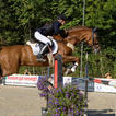 Reitsport in Dornbirn