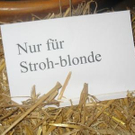 Blondinentreffen im Hirschen
