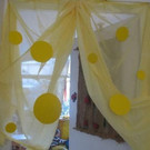 Käferle: Farbenwoche