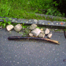 Hochwasser in Unter-Batschuns.jpg