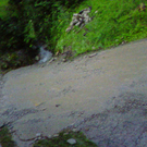 Hochwasser in Unter-Batschuns _4_.jpg