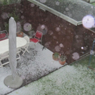 hagel sept_ 2009 _2_.jpg