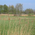 IMG_1148.JPG