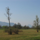 IMG_1168.JPG
