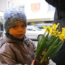Antenne - Frühlingsboten in Bludenz und Feldkirch