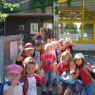 Käferle erobern die Mengschlucht-Nenzing