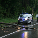 Baum kracht auf Haselstaudenerstraße