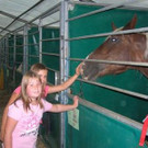 24.-26.08.: 16. Kutschentreffen in Dalaas