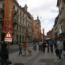 2173246.jpg