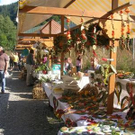 2201047.jpg
