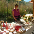 2201051.jpg