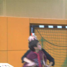 2202895.jpg