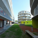 tom_009465.jpg