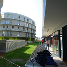 tom_009466.jpg