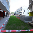 tom_009469.jpg