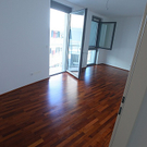 tom_009472.jpg