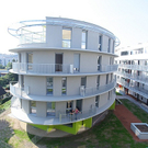 tom_009481.jpg