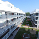 tom_009483.jpg