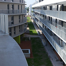 tom_009485.jpg