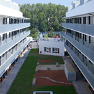 tom_009490.jpg