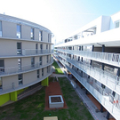 tom_009503.jpg