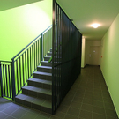tom_009523.jpg