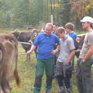 Klostertaler Viehausstellung