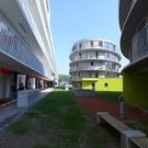 tom_009527.jpg