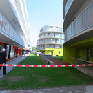tom_009531.jpg