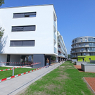 tom_009535.jpg