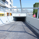 tom_009541.jpg