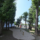 tom_009558.jpg