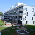 tom_009552.jpg
