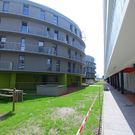 tom_009556.jpg