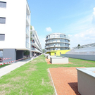 tom_009559.jpg