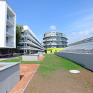 tom_009560.jpg