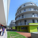tom_009544.jpg