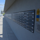 tom_009565.jpg