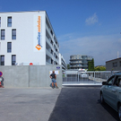 tom_009567.jpg